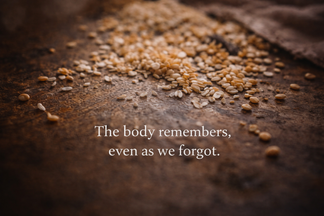 Close-up of scattered grains resting on a textured surface in soft light, creating a quiet and reflective mood.