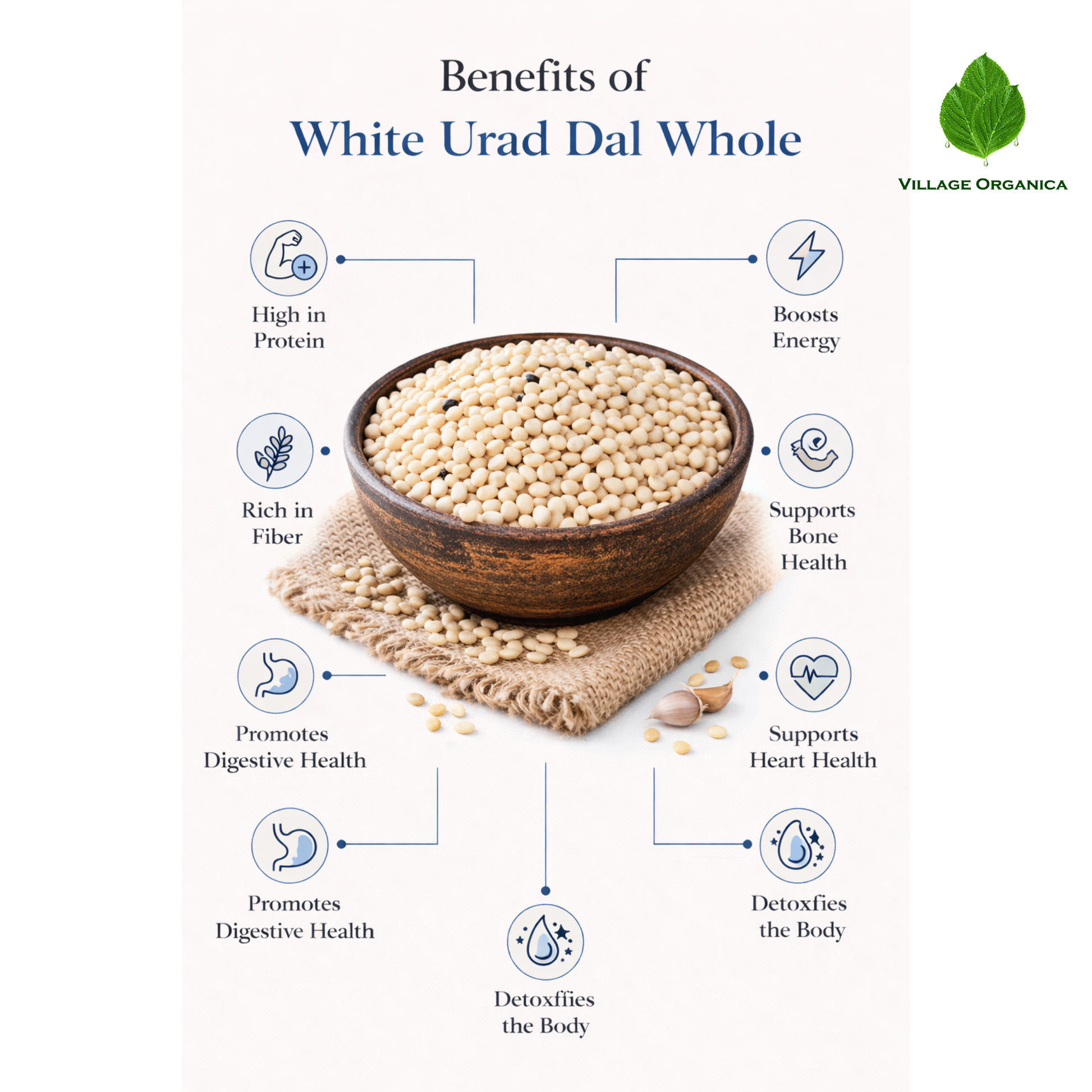 White urad dal whole used for traditional Indian cooking