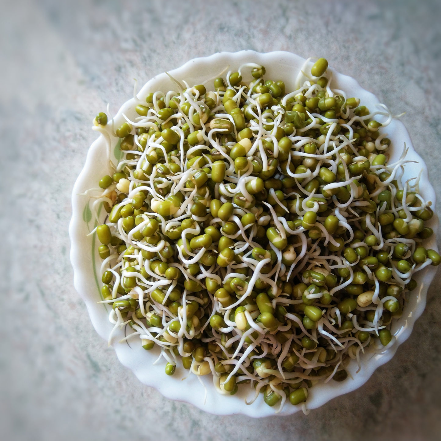 Green moong dal whole suitable for sprouting and home cooking
