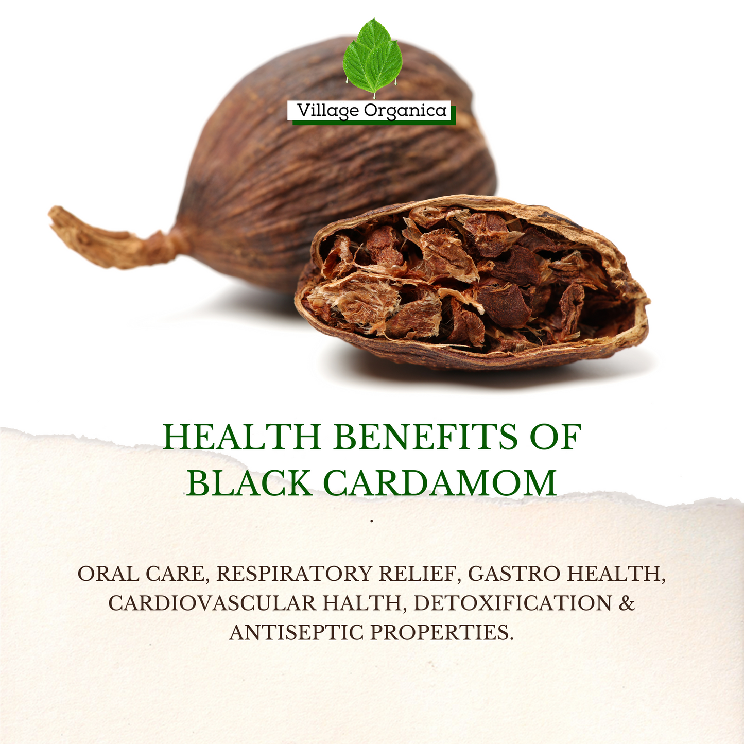 Organic Black Cardamom (Badi Elaichi).