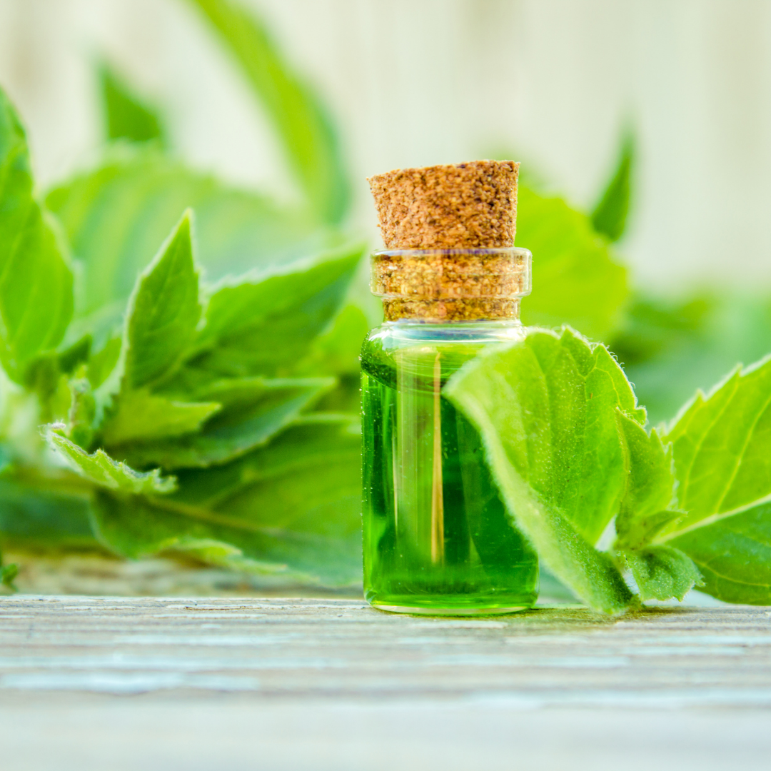 Peppermint Essential Oil.