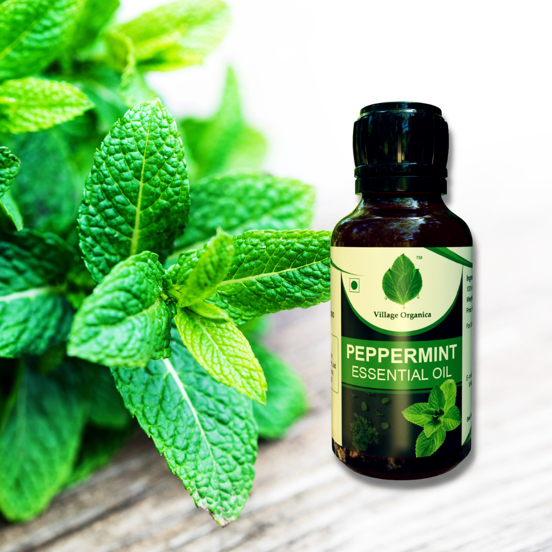 Peppermint Essential Oil.